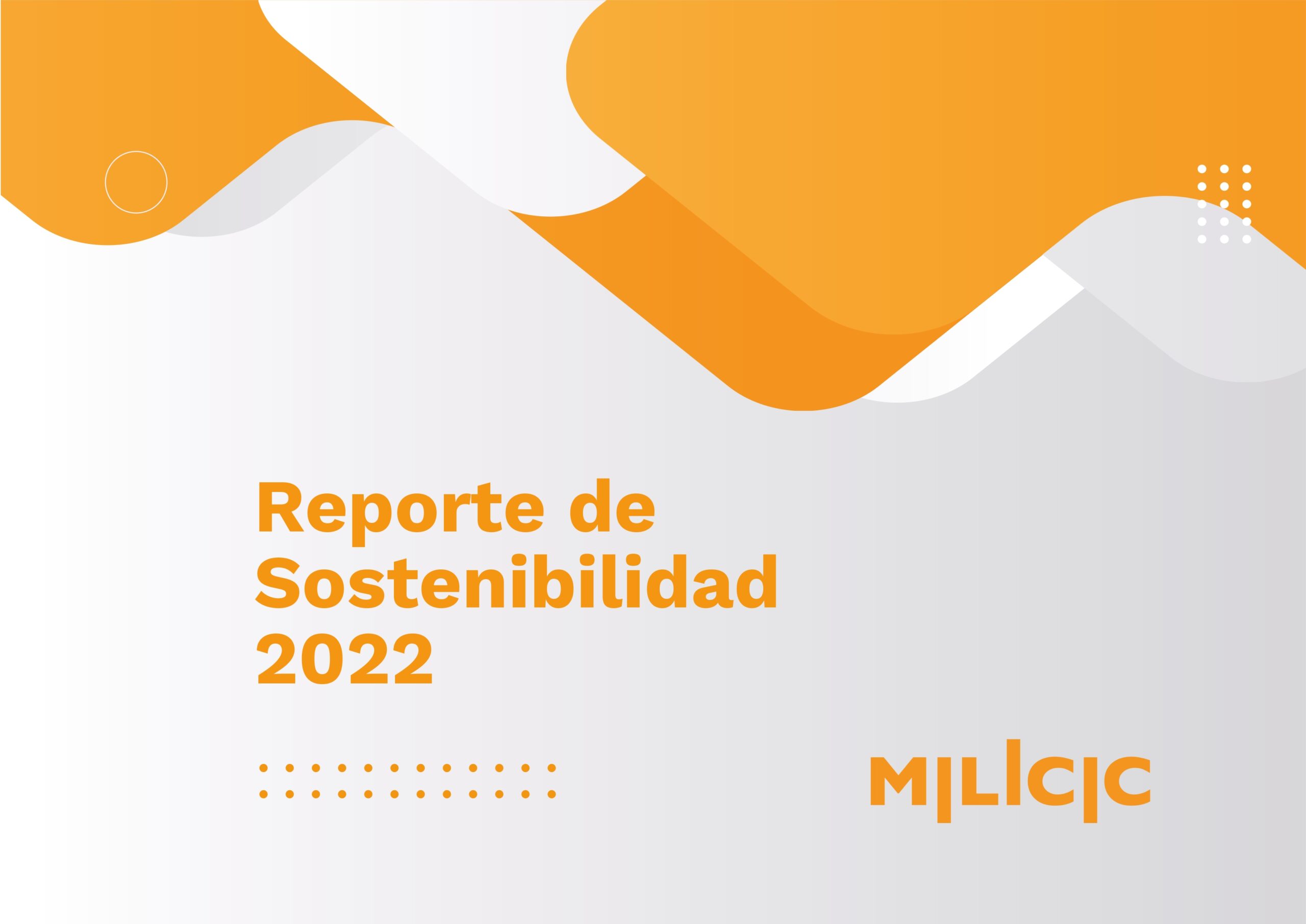 REPORTE DE SOSTENIBILIDAD 2022